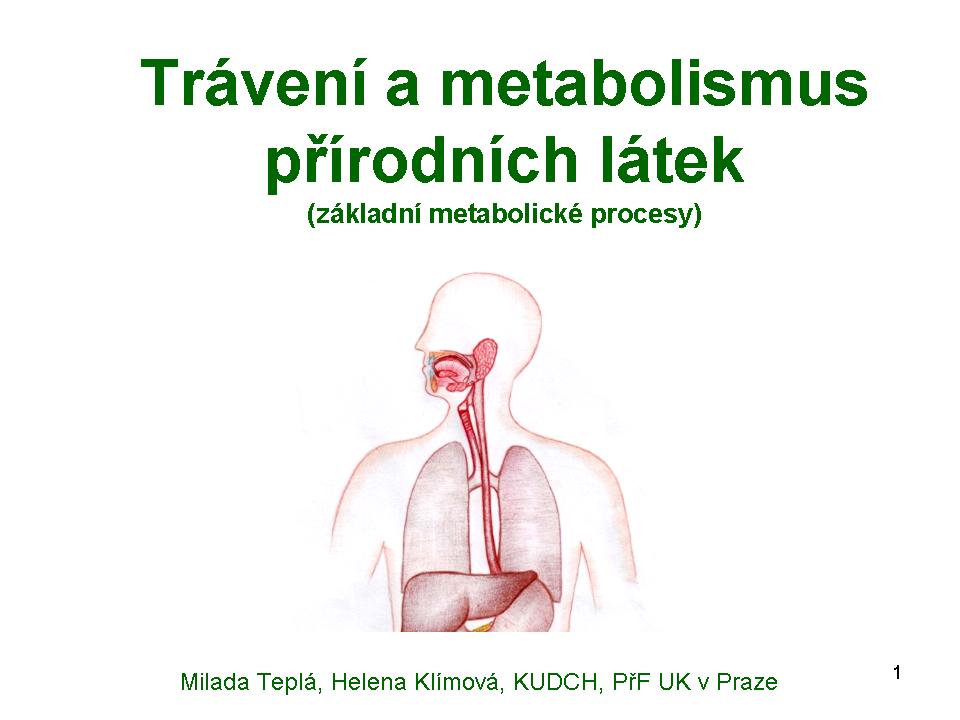 Prezentace Trávení a metabolismus